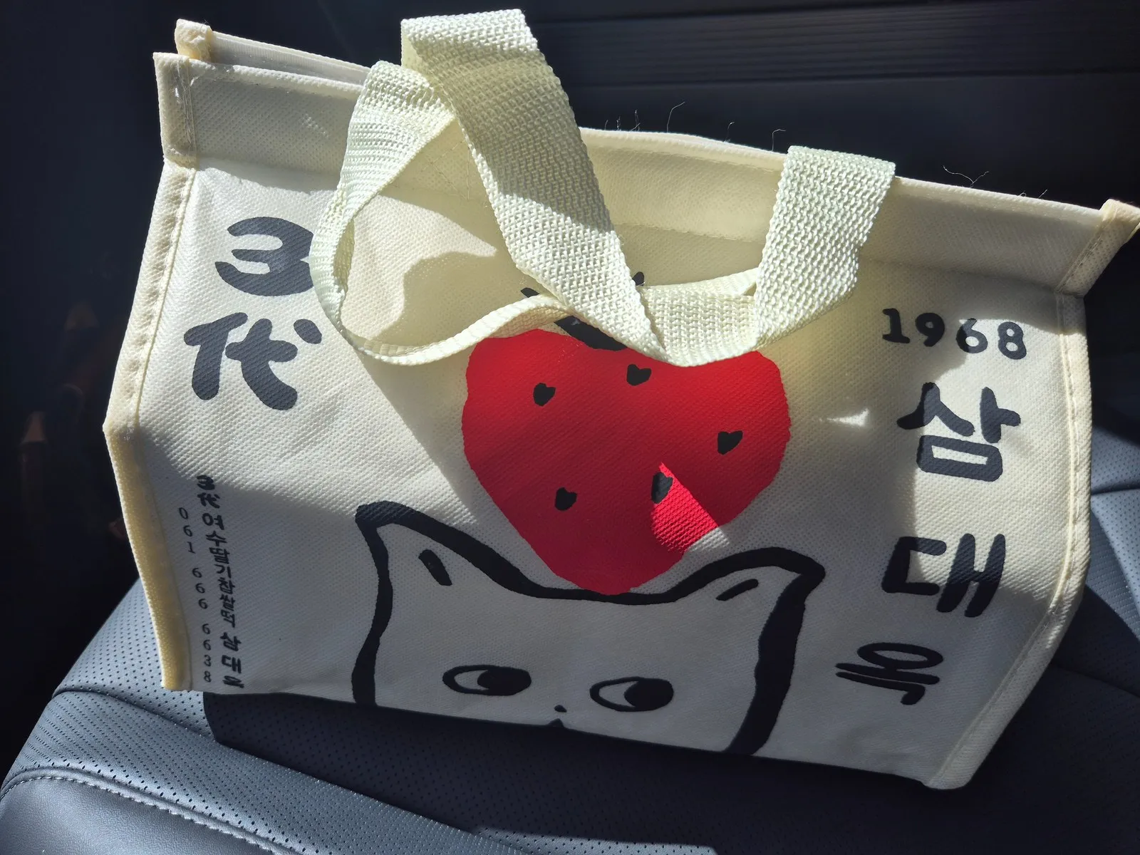 받아 온 고양이 보냉가방