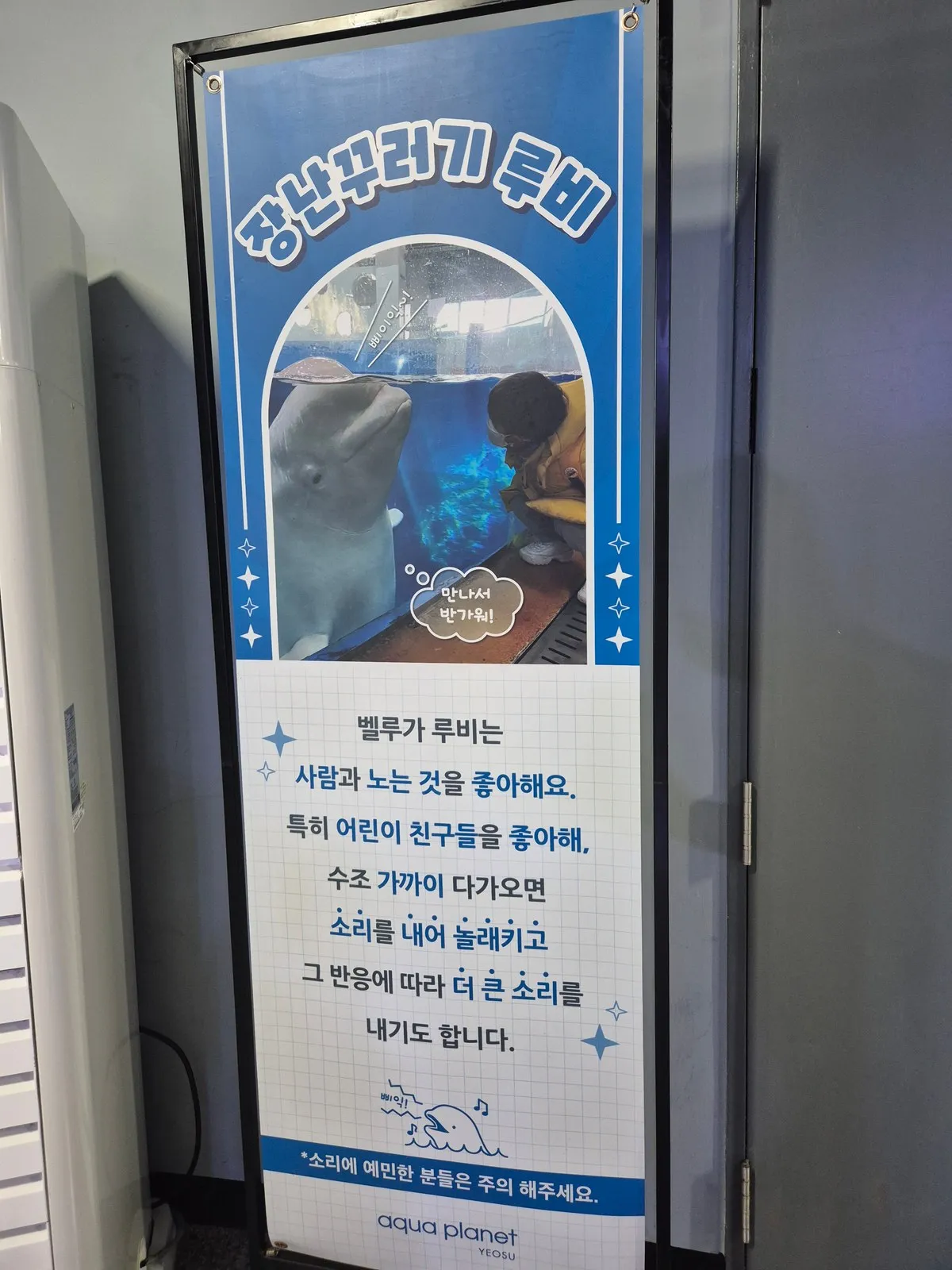 장난꾸러기 루비 안내 배너