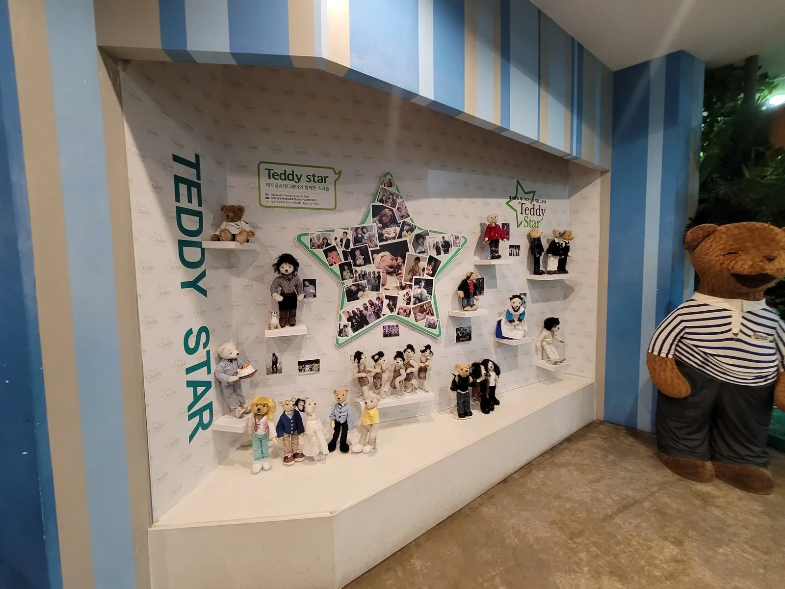Teddy star 벽면 전체