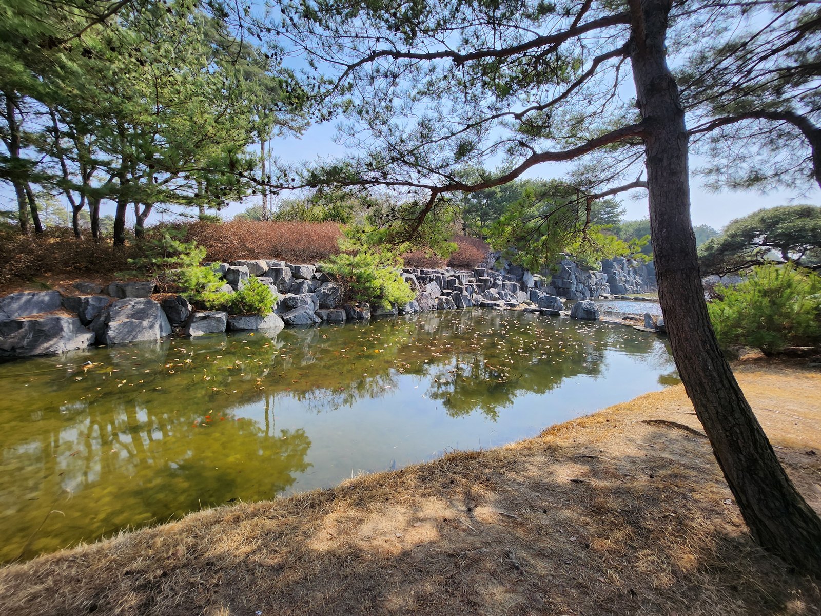 아리지CC 클럽하우스 옆 연못과 바위